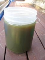 Generator oil change 2010